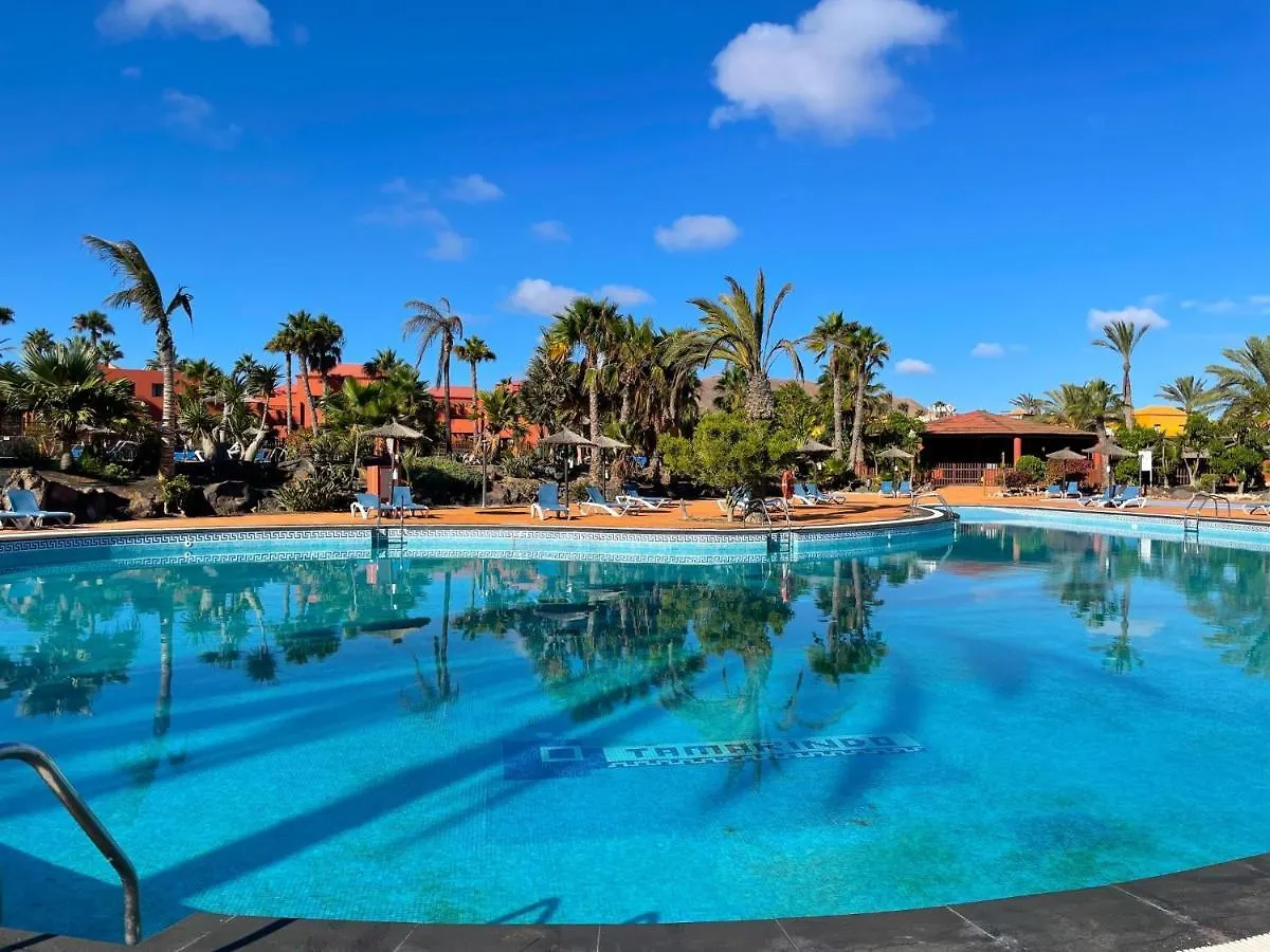 Apartment Kitesurf Lobos Lasia By Best Holidays Fuerteventura Corralejo Spain